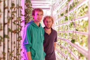 Gonzague Gru Agricool