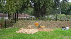 Rucher du Marillon, premier rucher d'entreprises de la Porte du Hainaut