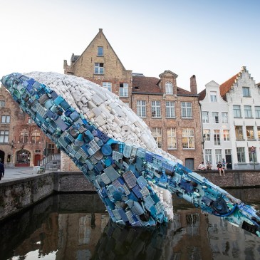 The Bruges Whale by STUDIOKCA