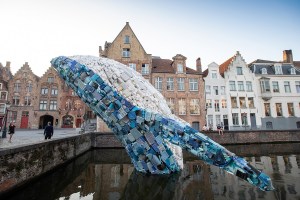 The Bruges Whale by STUDIOKCA