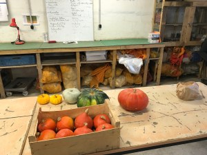 Salle de conditionnement des paniers bio