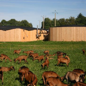 Installation de méthanisation