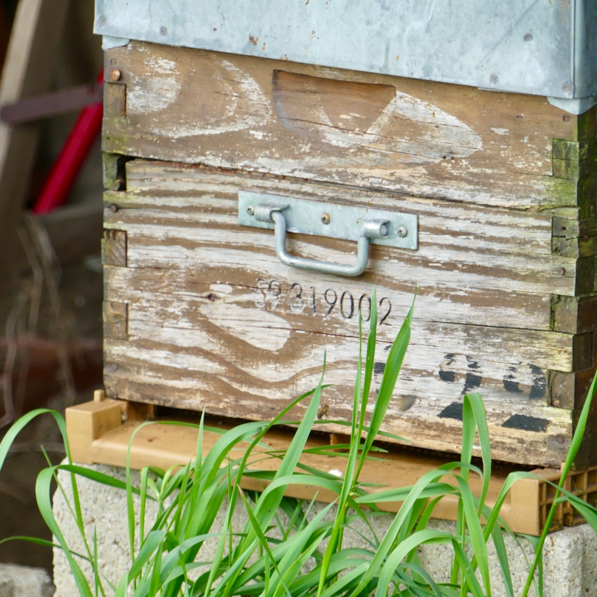 Fraude au miel ; les apiculteurs&nbsp;réagissent